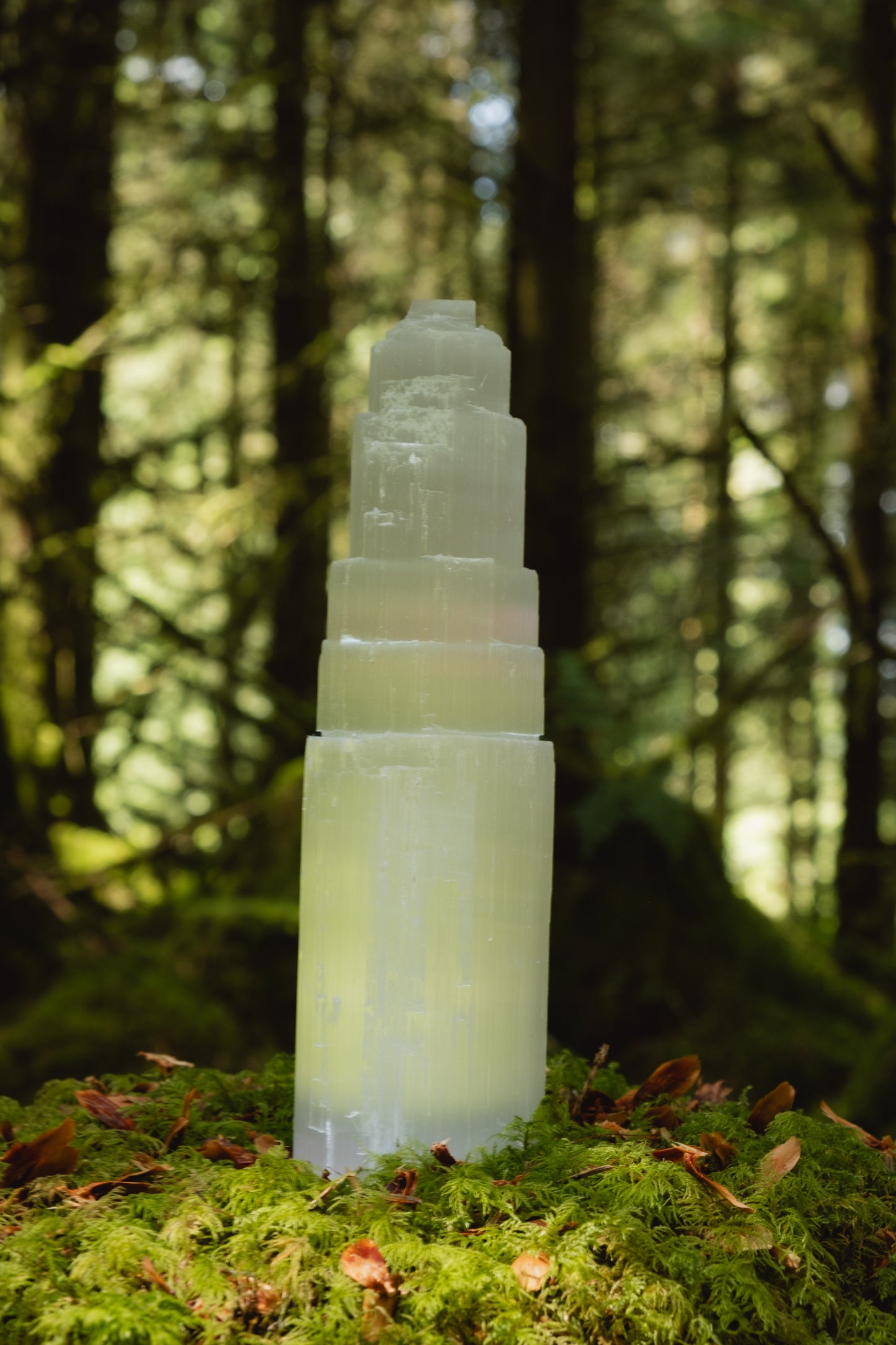 Selenite crystal Tower (X Large), Energy Cleanser, Crystals for home, to release negativity.