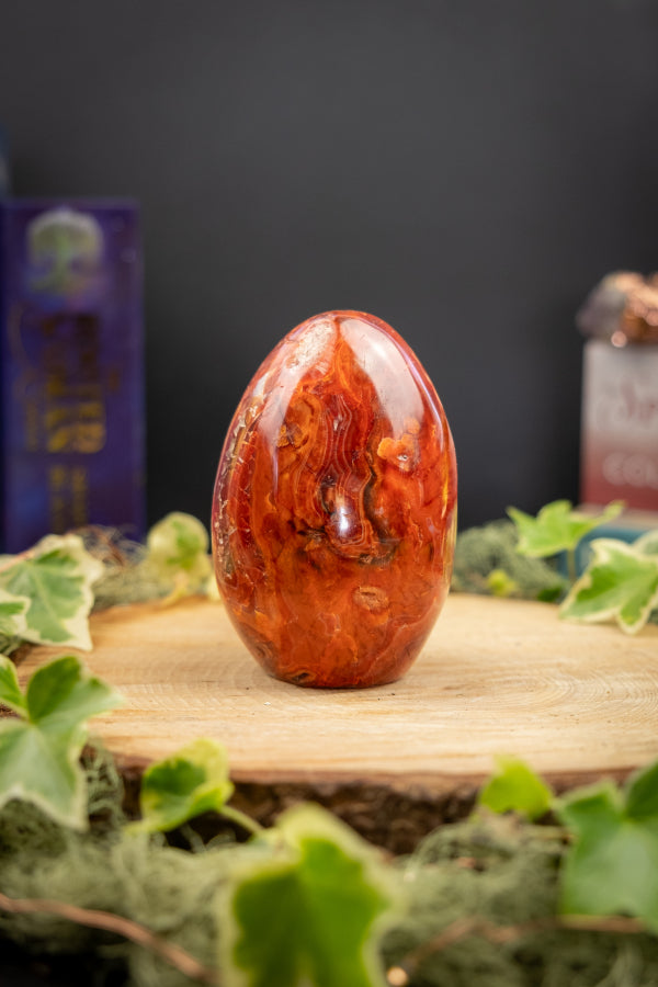 Carnelian Freeform Crystal, Polished Gemstone for Passion, Motivation, Creativity, Confidence, Sacral Chakra Healing.