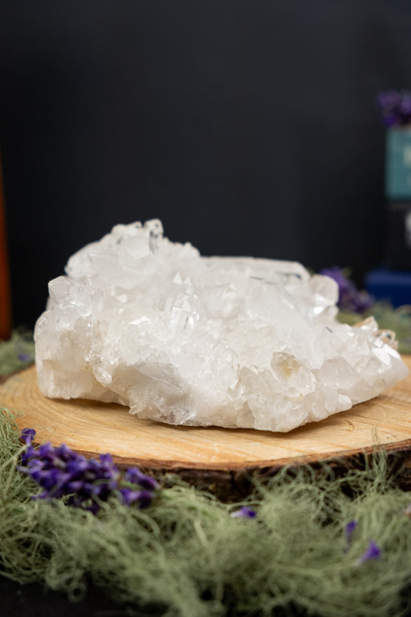 Lemurian Quartz Cluster Cave Pocket, Clear Quartz Point Crystal, Rare Healing Gemstone, Master Healer Stone, High Vibration Spiritual Stone