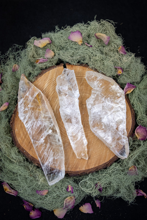 Rare Golden Etched Selenite Crystal, Natural Light Code Stone, Unique High Vibration Gem for Spiritual Awakening and Healing