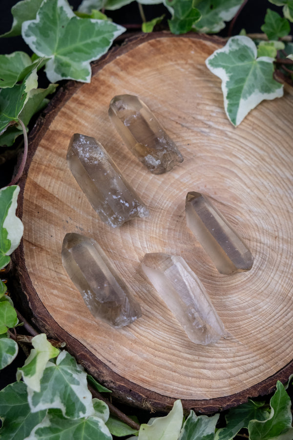 Smokey Citrine Raw Points Natural Healing Crystal from Brazil for Energy Clearing and Manifestation