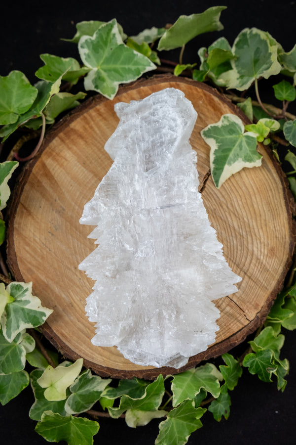 Fish Tail Selenite Crystal Cluster, Unique Satin Spar Stone for Cleansing, Clarity and Spiritual Connection