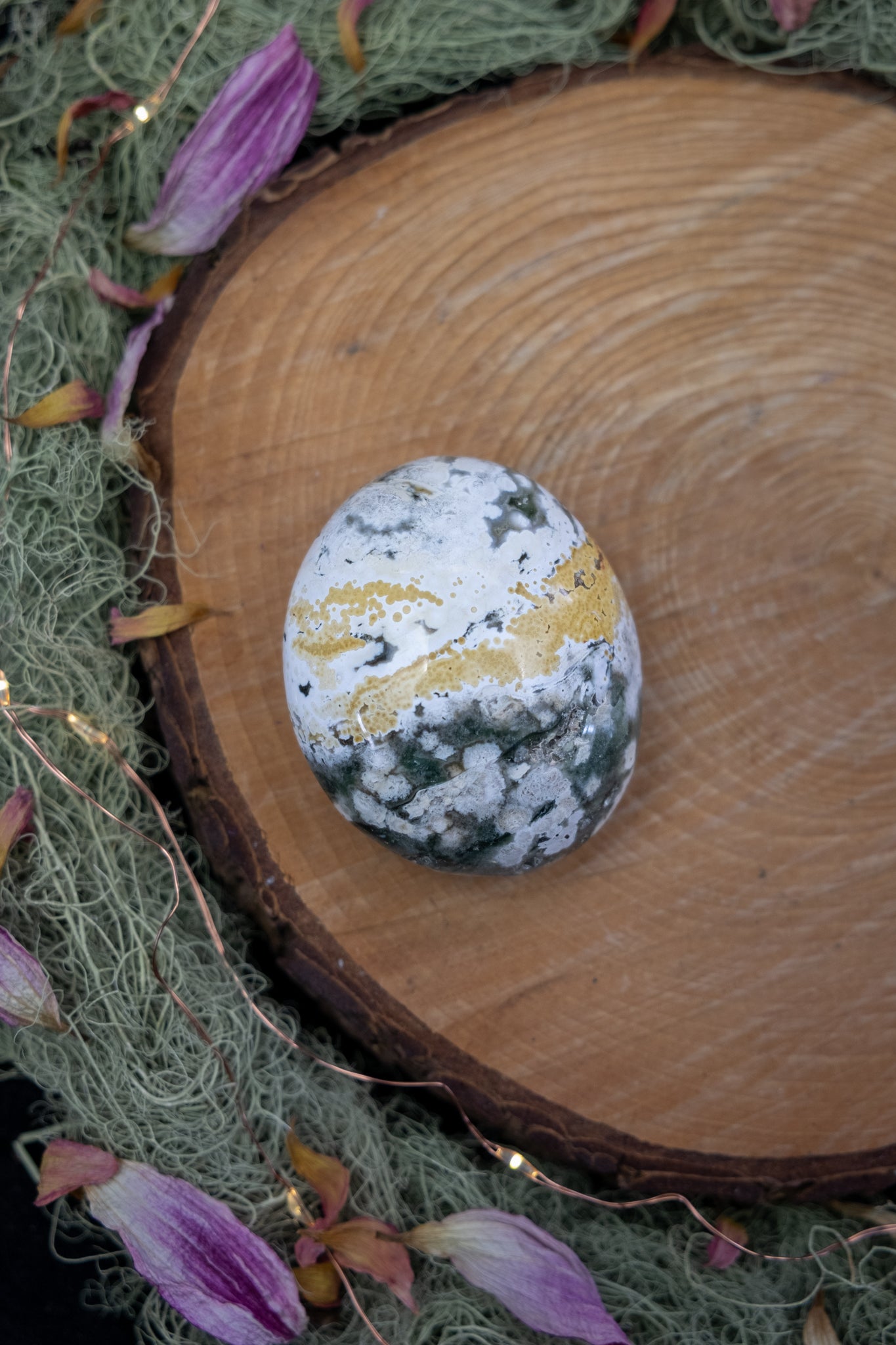 Orbicular Jasper Palm Stone