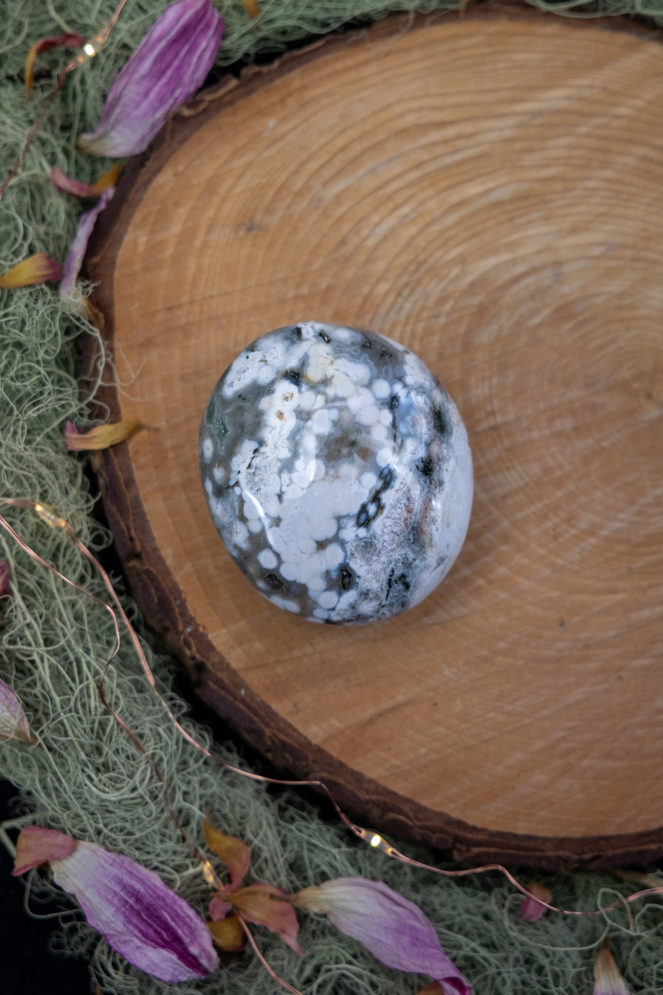 Orbicular Jasper Palm Stone