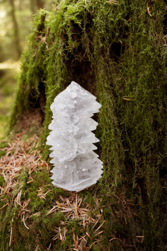Fish Tail Selenite Crystal Cluster, Unique Satin Spar Stone for Cleansing, Clarity and Spiritual Connection