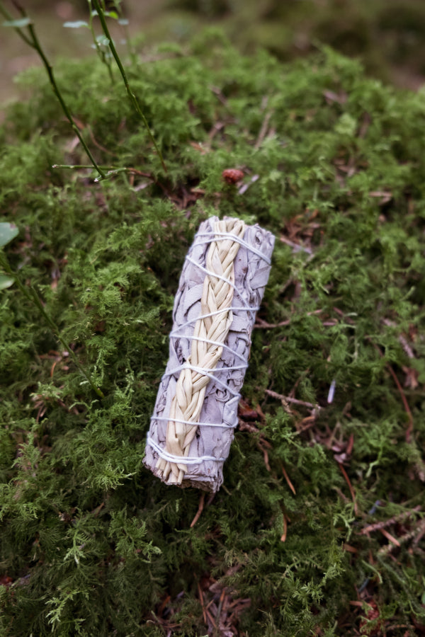 White sage smudge stick with sweet grass