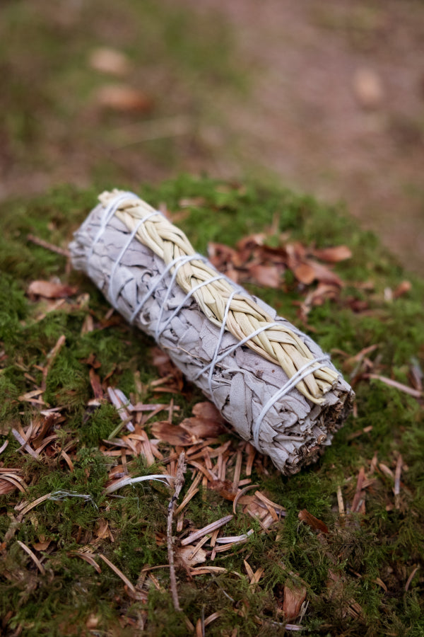 White sage smudge stick with sweet grass