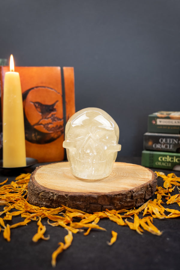 Natural Citrine Crystal Skull Hand Carved Gemstone Stone Carving for Abundance Healing Energy and Clarity