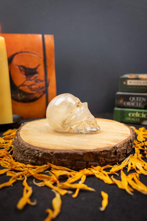 Natural Citrine Crystal Skull Hand Carved Gemstone Stone Carving for Abundance Healing Energy and Clarity