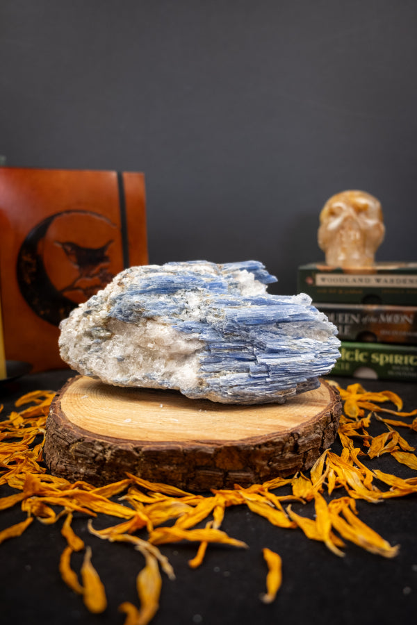 High Grade Kyanite in Quartz Raw Stone, Ethically Sourced Crystal, Healing Gemstone for Clarity Alignment Spiritual Energy