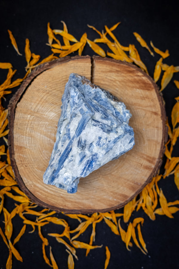 High Grade Kyanite in Quartz Raw Stone with Stand, Ethically Sourced Crystal, Healing Gemstone for Clarity Alignment Spiritual Energy