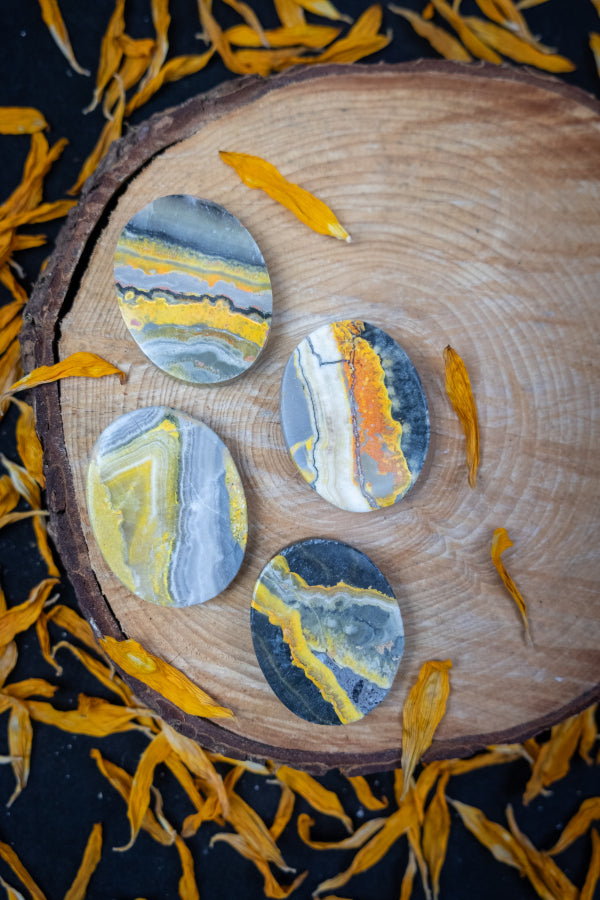 Bumblebee Jasper Palmstone Yellow and Black Jasper Oval Disc Crystal for Confidence Protection Meditation and Healing