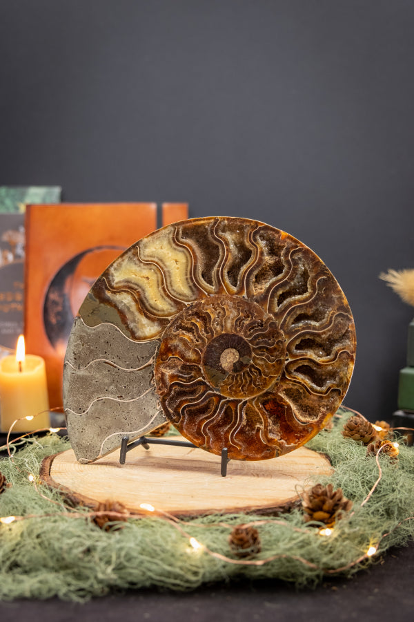Polished Ammonite Fossil Pair from Madagascar, Drusy Gem Slice, Iridescent Ammonite Fossil Stone, Natural Home Décor and Healing Crystal