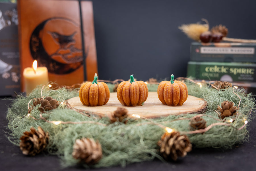 Pumpkin Beeswax Candle, Natural Mini Autumn Candle, Hand Poured Pure Beeswax, Eco Friendly Home Decor, Seasonal Crystal Altar Candle