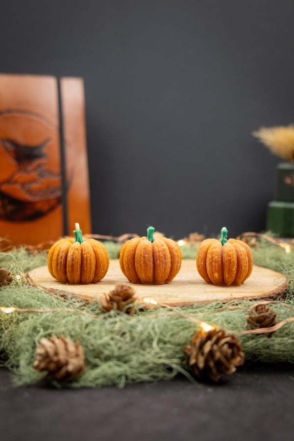 Pumpkin Beeswax Candle, Natural Mini Autumn Candle, Hand Poured Pure Beeswax, Eco Friendly Home Decor, Seasonal Crystal Altar Candle