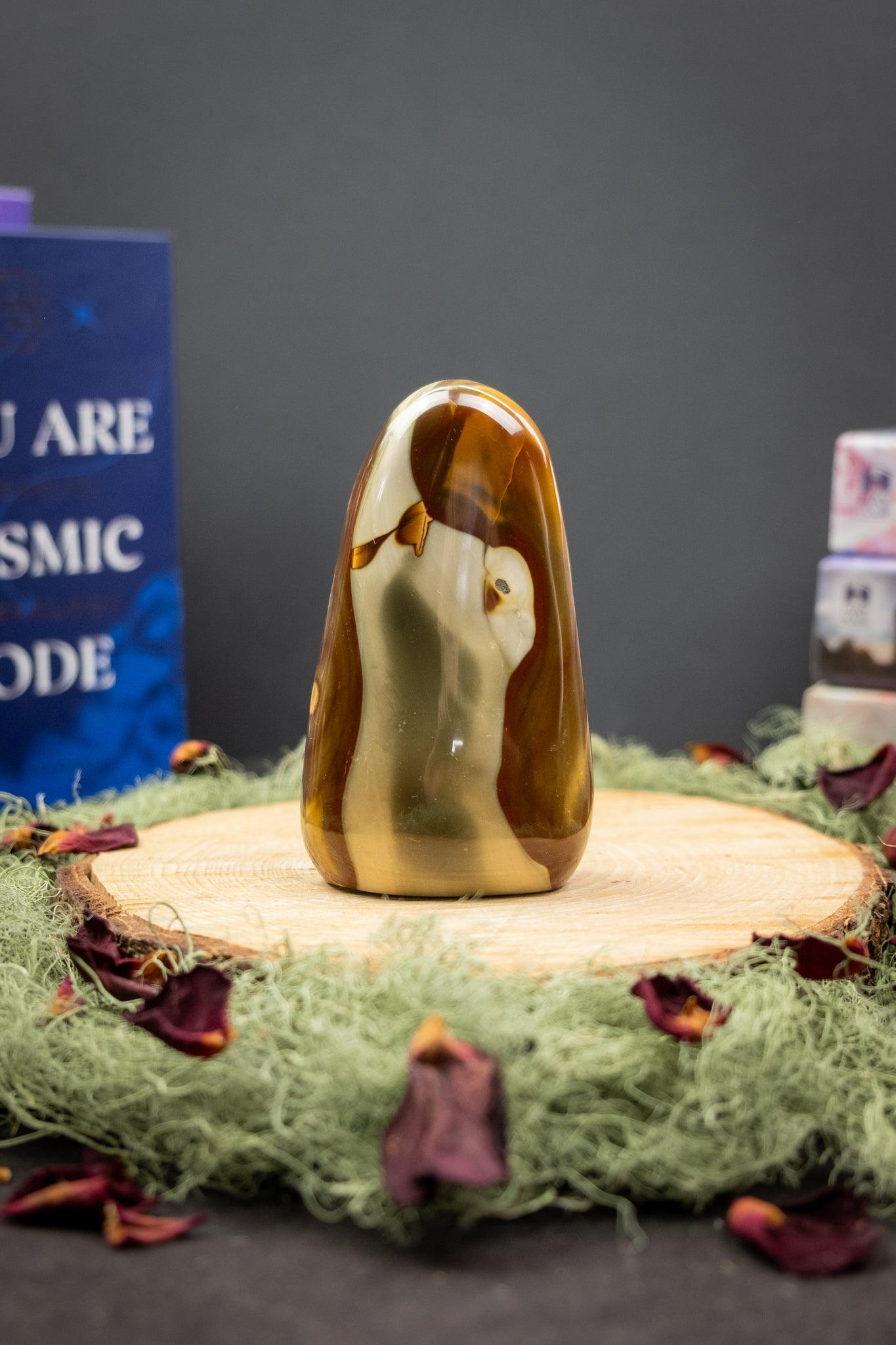 Polychrome Jasper Freeform Stone, High Grade Polished Jasper Gem, Earth Energy Crystal for Strength Stability and Renewal