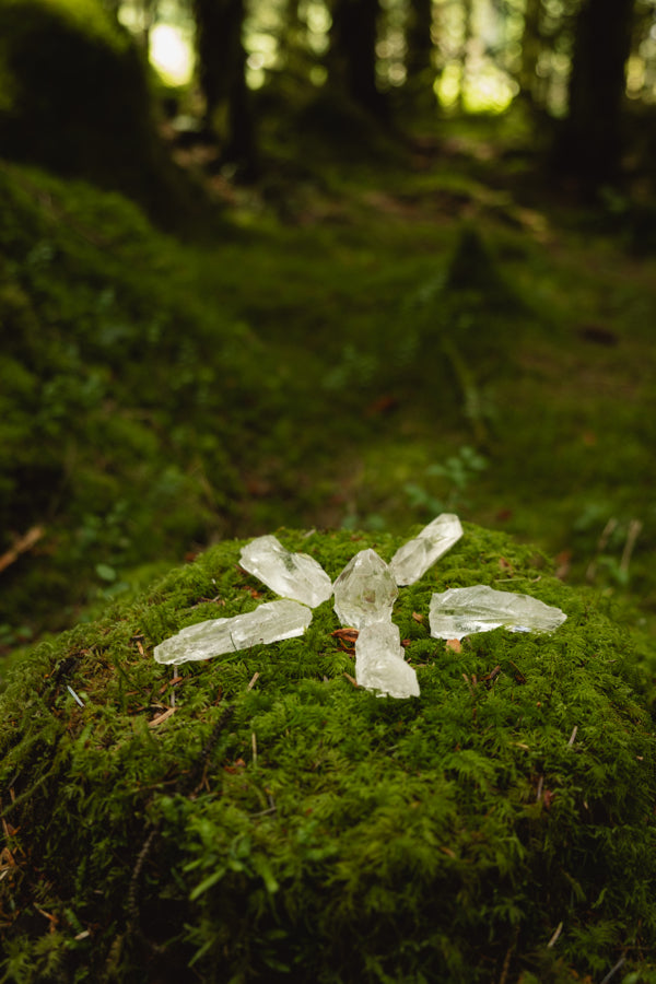 Lemurian Code Keeper Crystals.