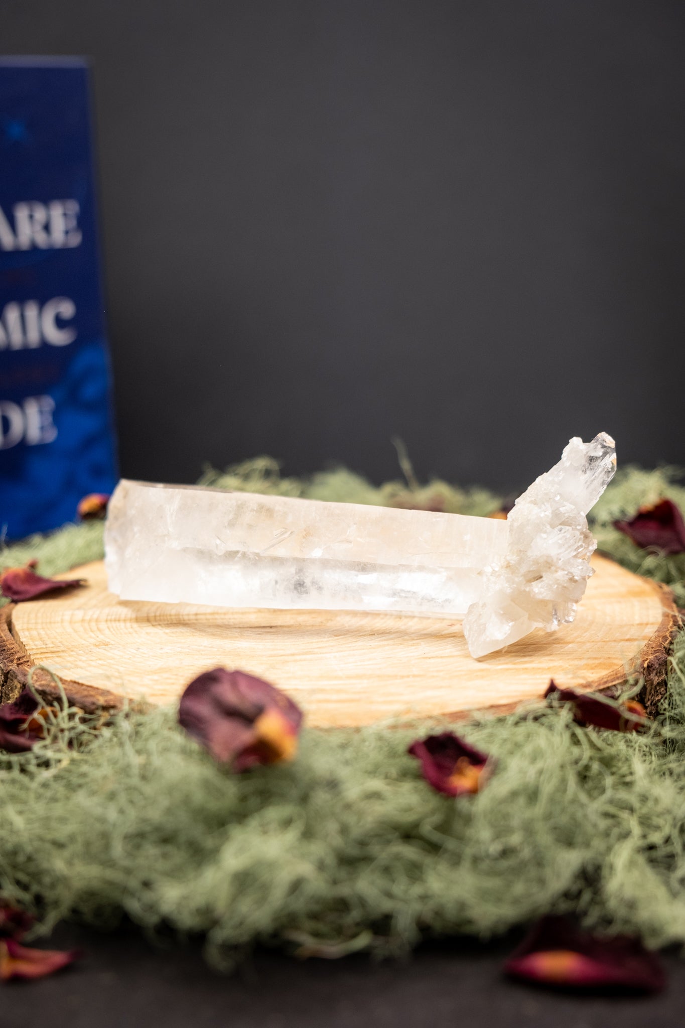 Natural Diamantina Quartz Point, High Grade Brazilian Crystal, Clear Quartz Stone for Energy Amplification and Clarity