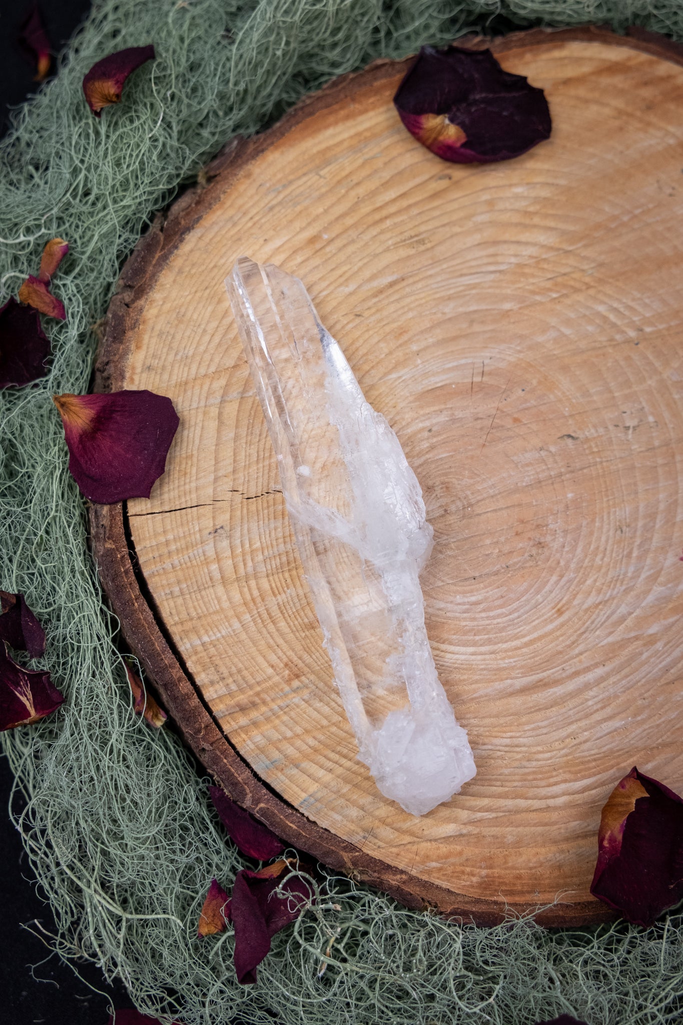 Natural Diamantina Quartz Point, High Grade Brazilian Crystal, Clear Quartz Stone for Energy Amplification and Clarity