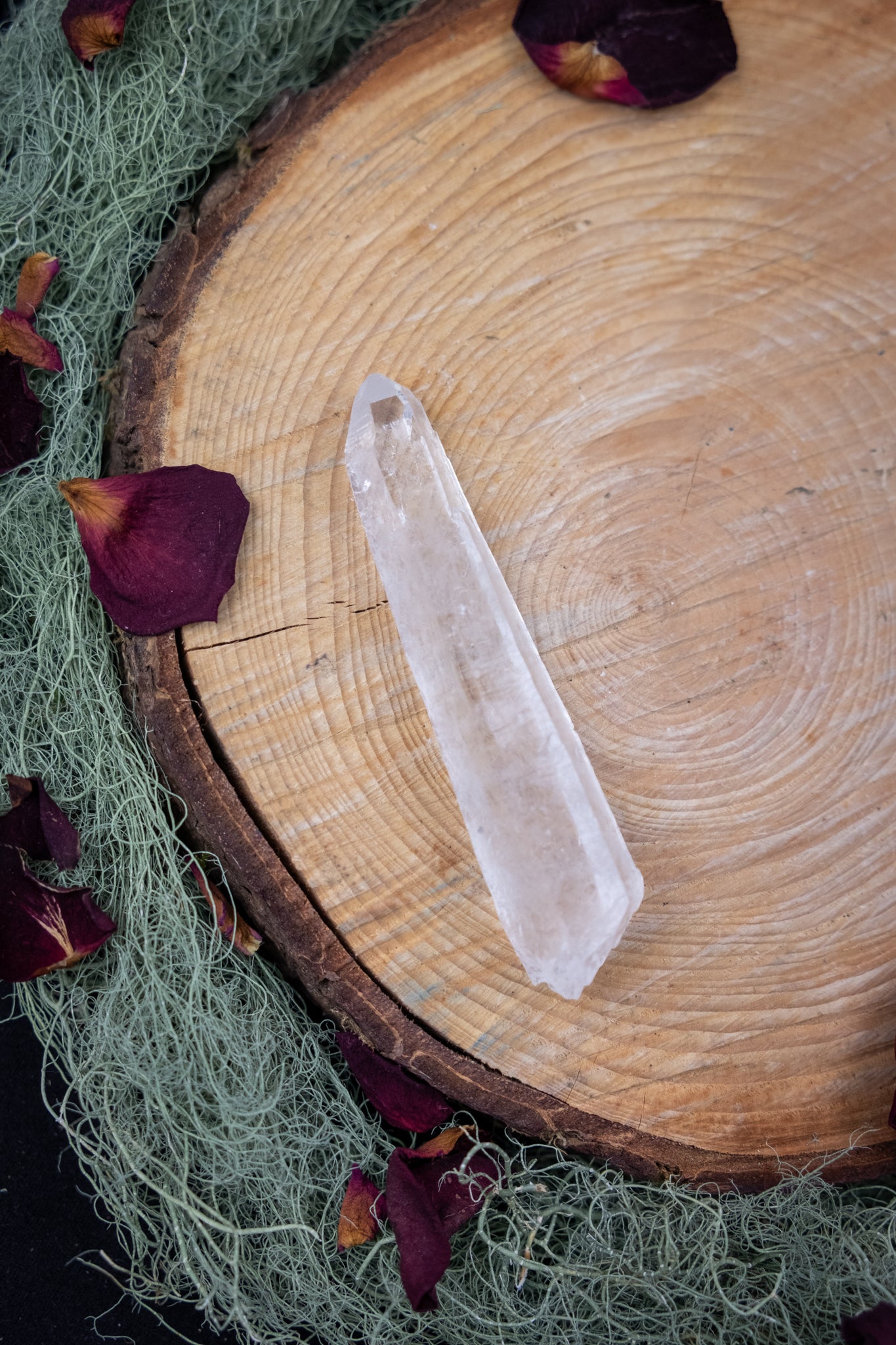 Natural Diamantina Quartz Point, High Grade Brazilian Crystal, Clear Quartz Stone for Energy Amplification and Clarity