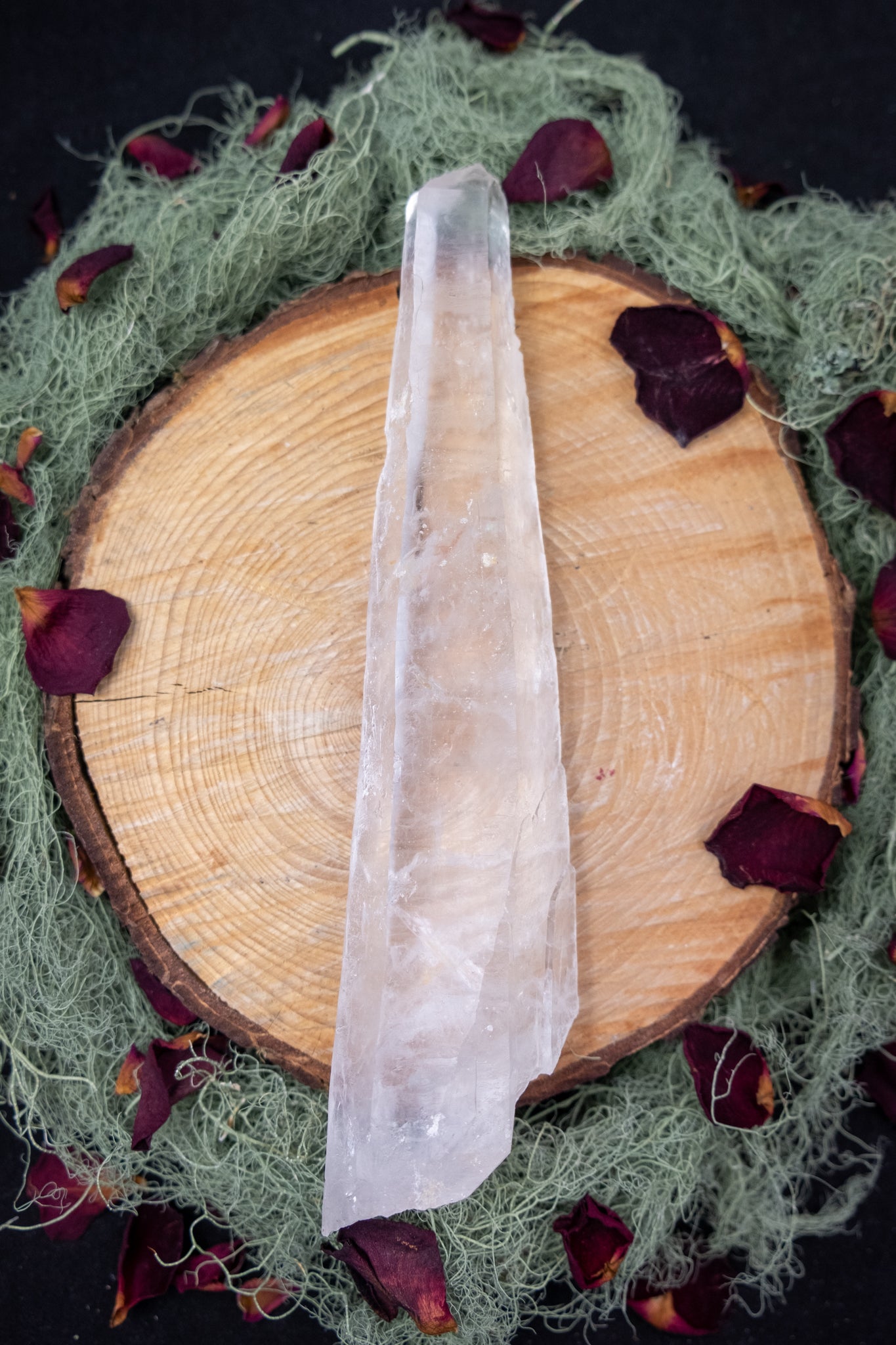 Natural Diamantina Quartz Point, High Grade Brazilian Crystal, Clear Quartz Stone for Energy Amplification and Clarity