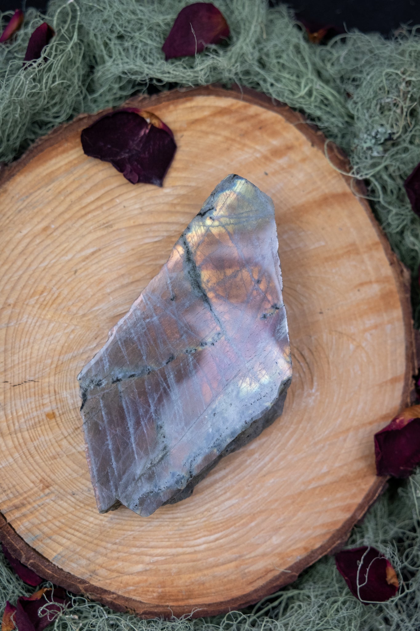 Pink Flash Labradorite Raw and Polished Crystal, Rare Gemstone for Transformation, Intuition and Inner Light