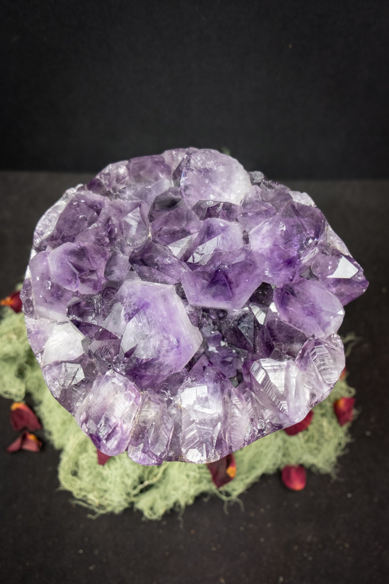 Deep Violet Amethyst Crystal Flower, Natural Gemstone Formation with Moss Agate Base, Polished Edge Display Stone
