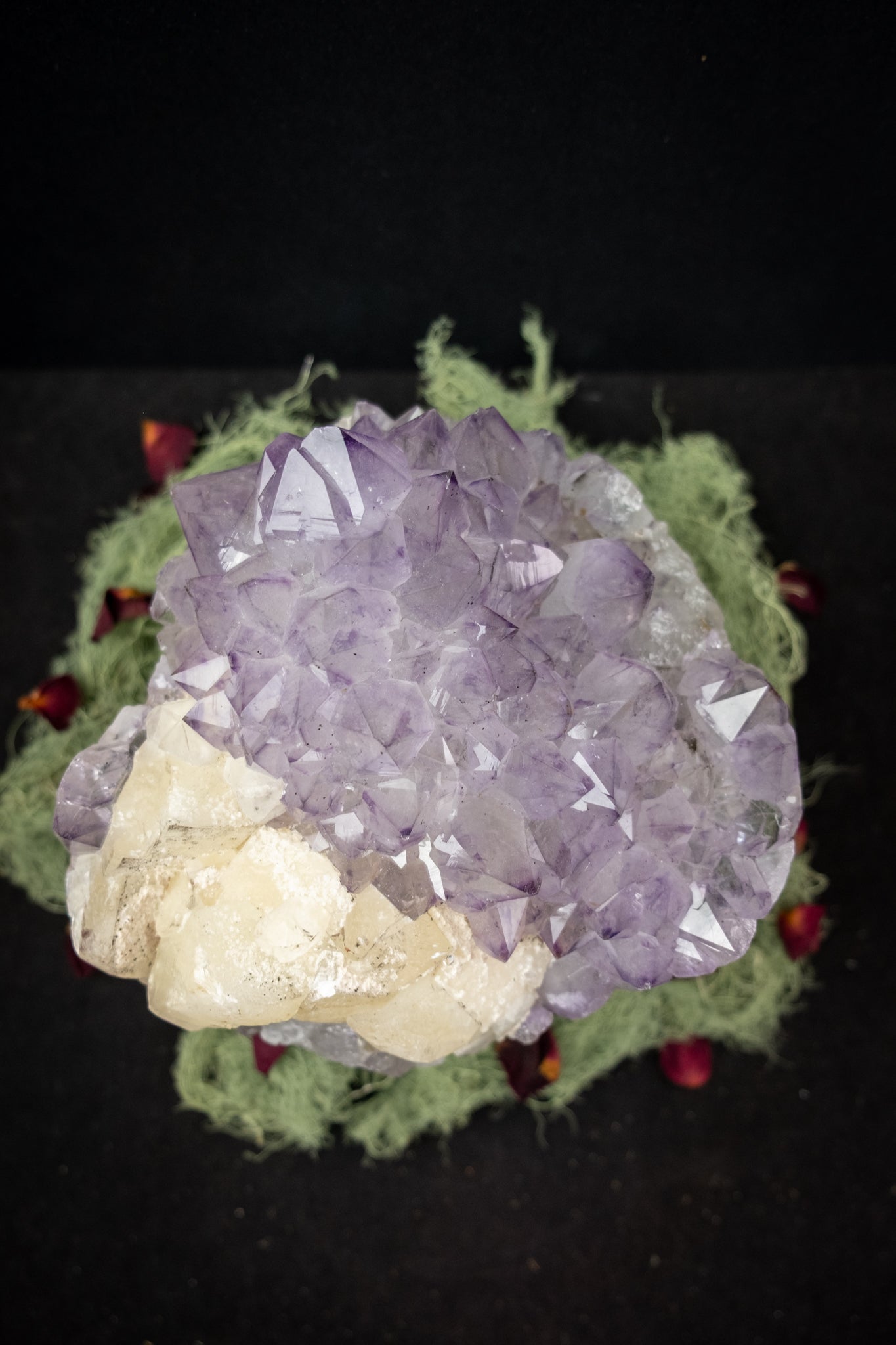Rare Lilac-to-Deep-Tip Amethyst Flower with Calcite Drusy and Actinolite Inclusions Unique Home Healing Crystal Specimen