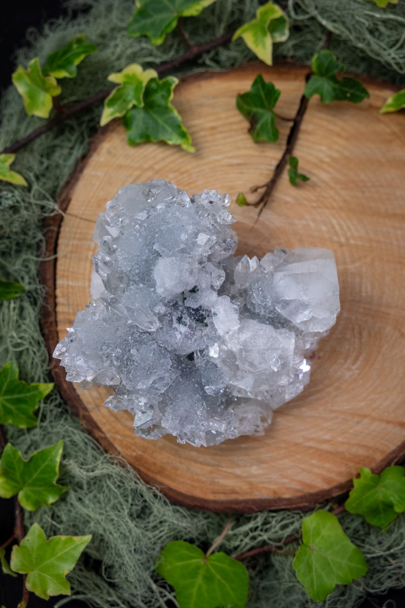 High Grade Apophyllite on Stand, Sparkling Cluster Crystal, Purifying Stone for Clarity and Uplift
