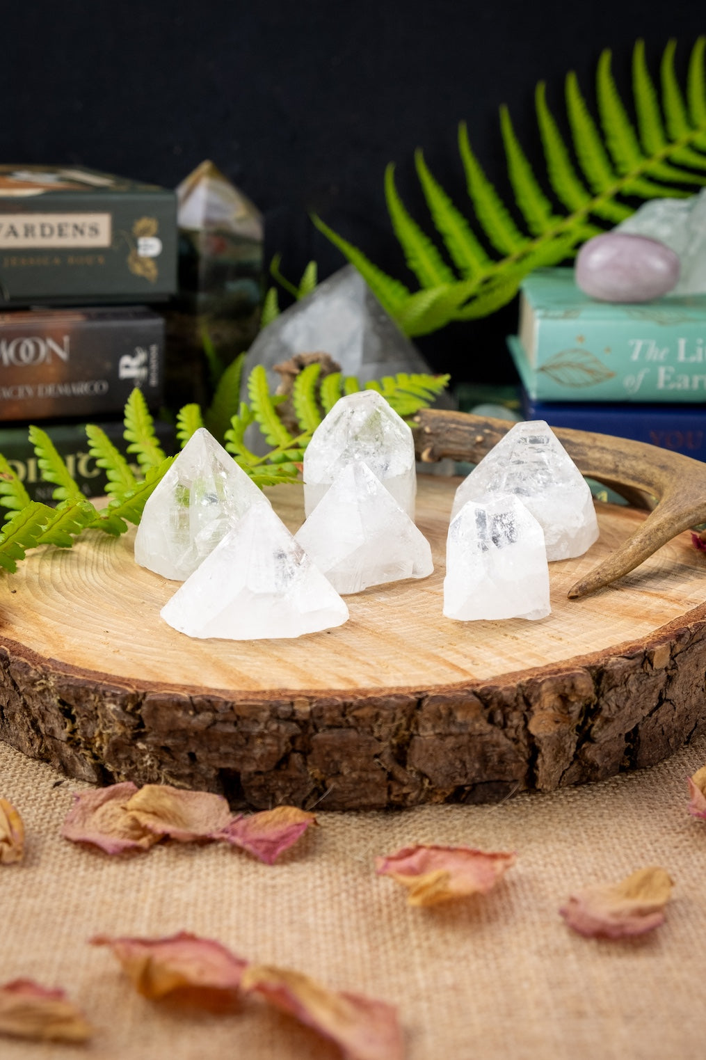 Apophyllite Crystal Point, Absorbs Negative Energy, Crystal grids.