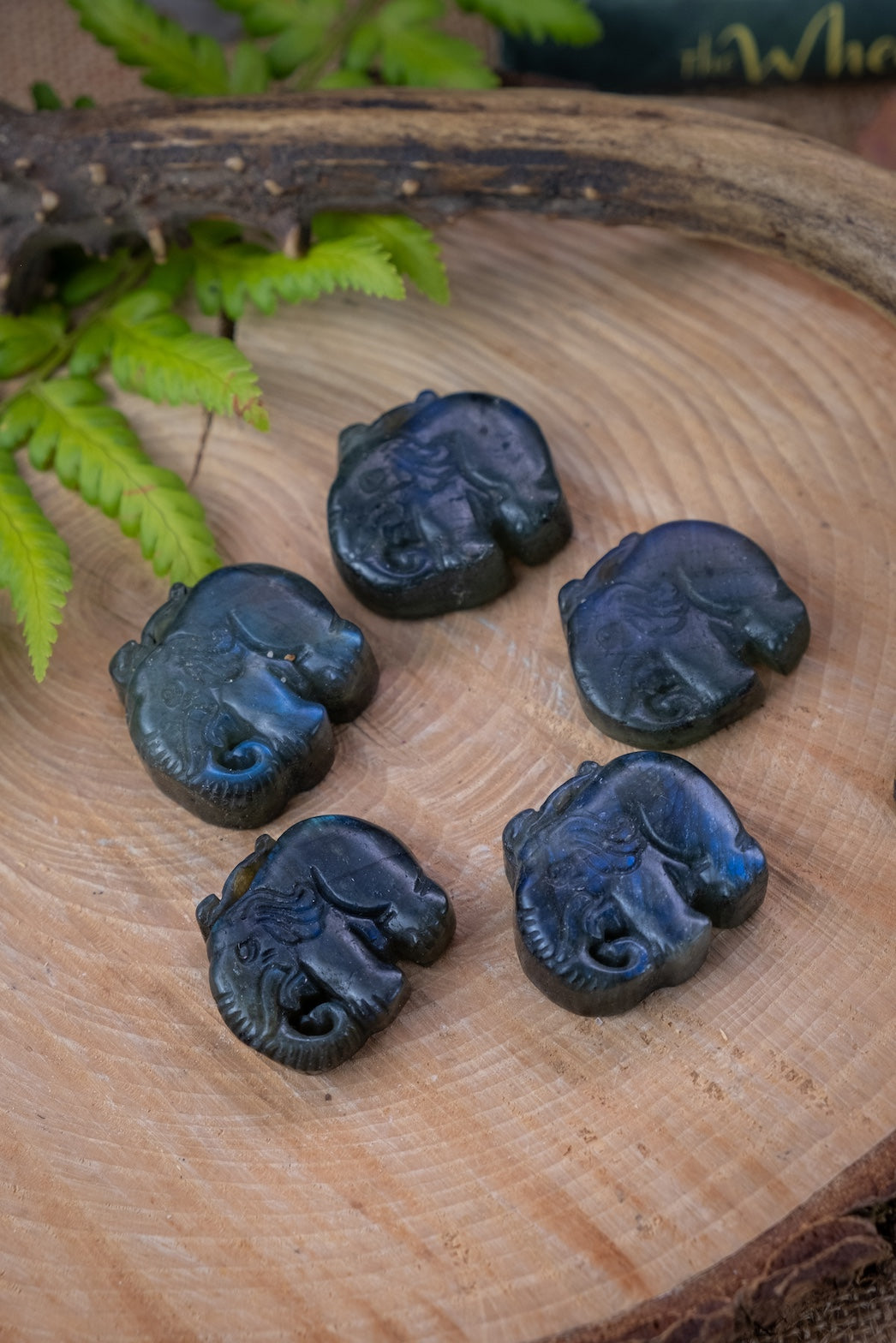 Labradorite elephant crystal, hand carved, crystal for wisdom, knowledge and insight