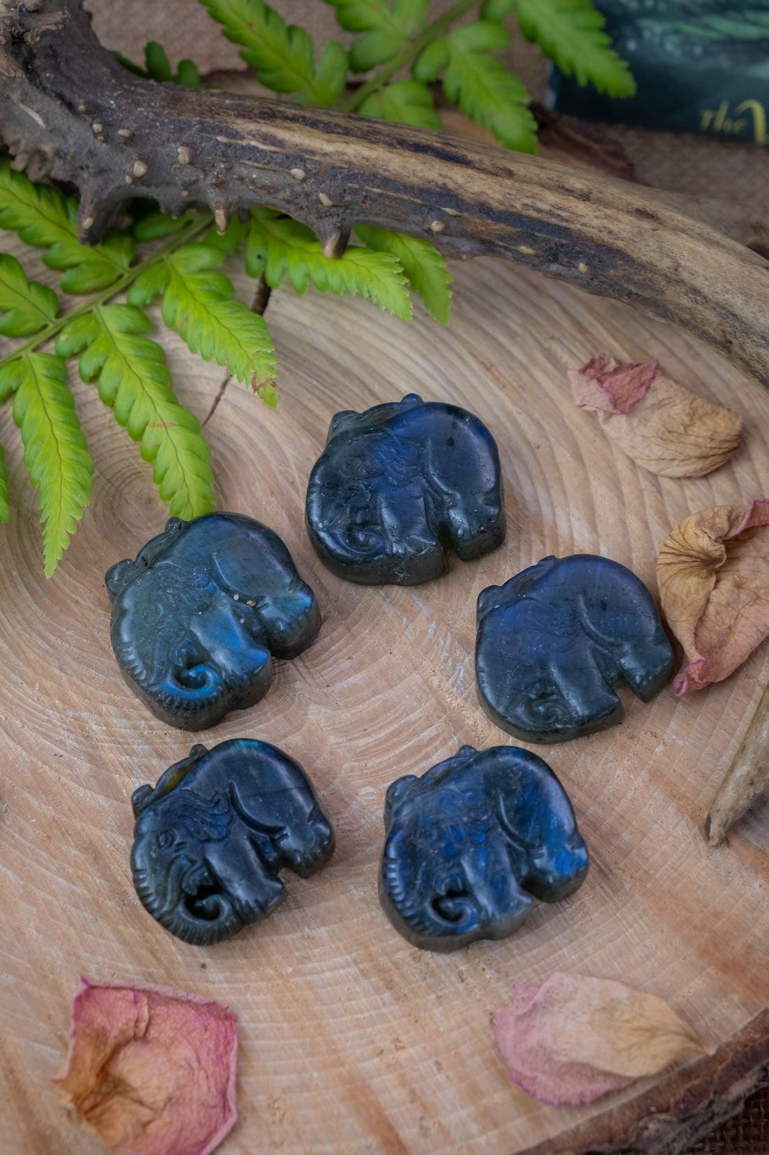 Labradorite elephant crystal, hand carved, crystal for wisdom, knowledge and insight