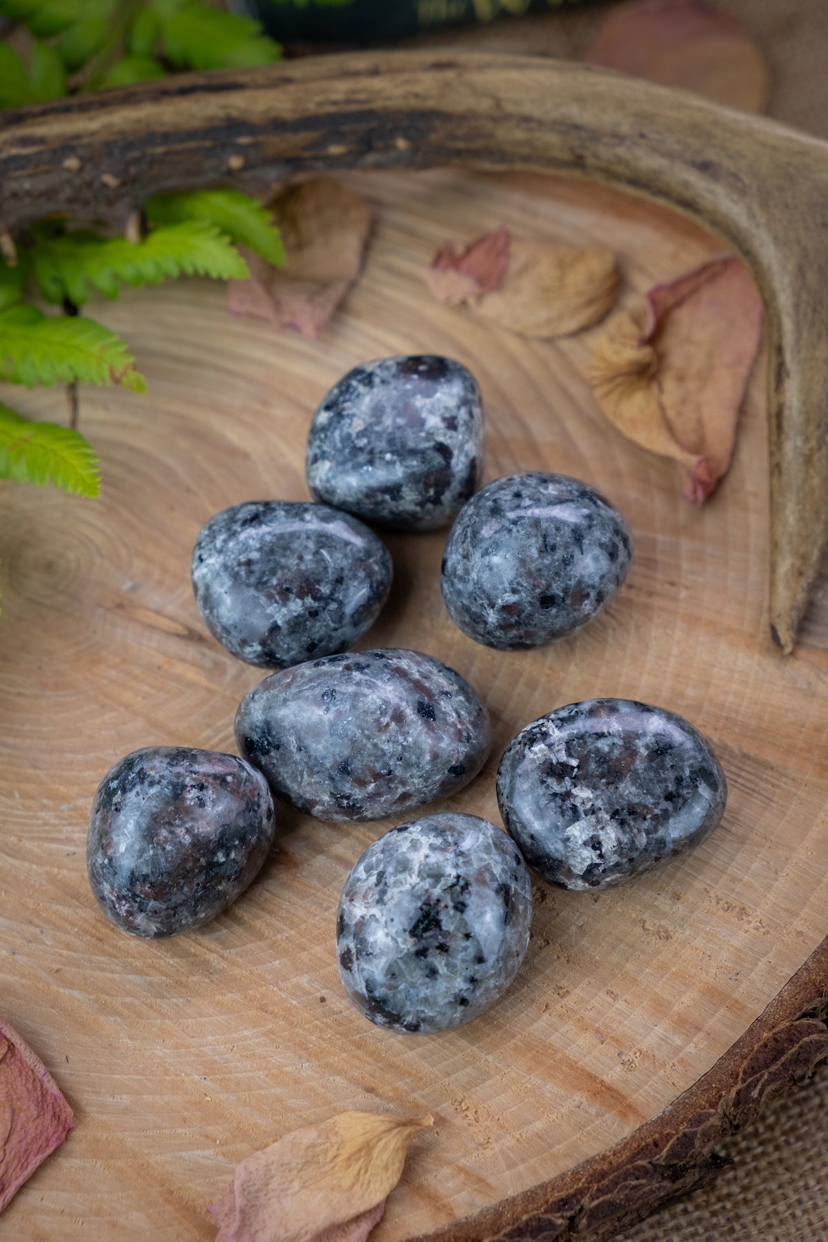 Yooperlite crystal tumblestones, fluorescent gemstones, self confidence, ease menopause, inflammation and headaches.