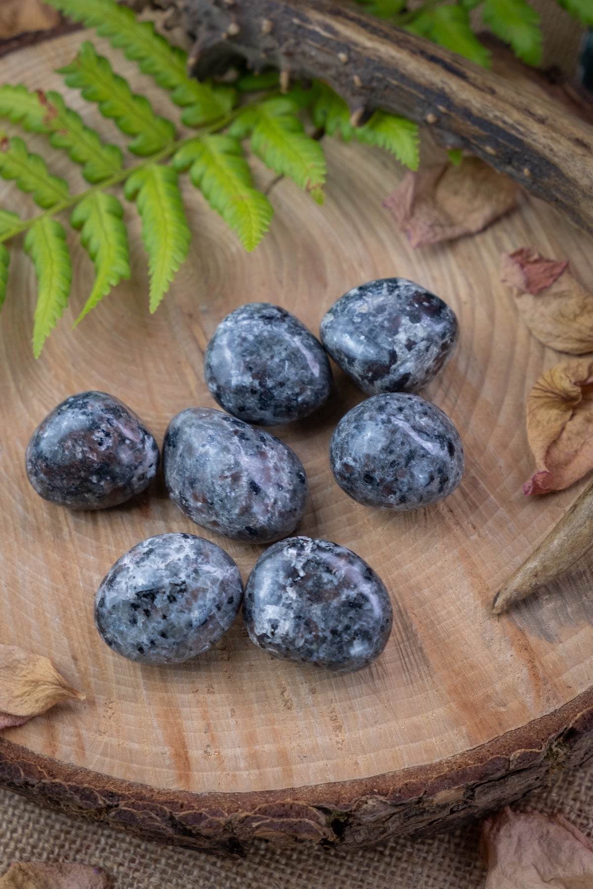 Yooperlite crystal tumblestones, fluorescent gemstones, self confidence, ease menopause, inflammation and headaches.