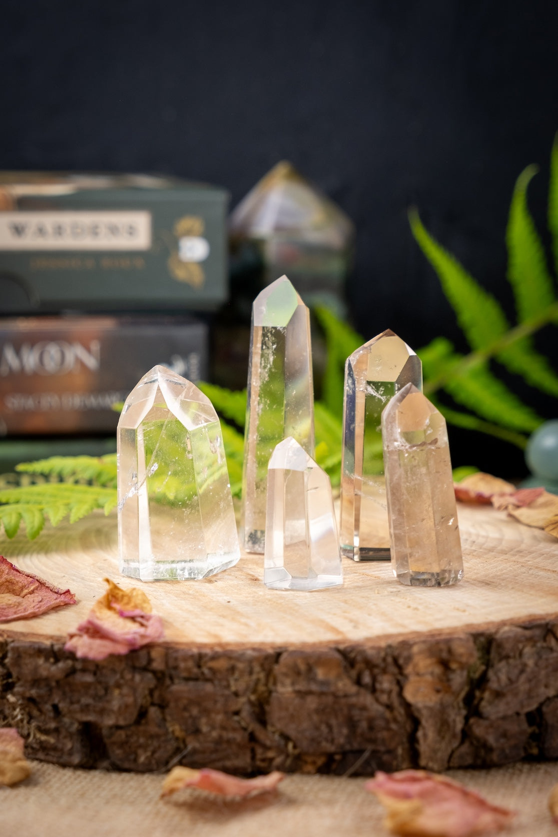 Smoky Quartz polished points, incredible clarity and energy, Crystal for protection and manifestation