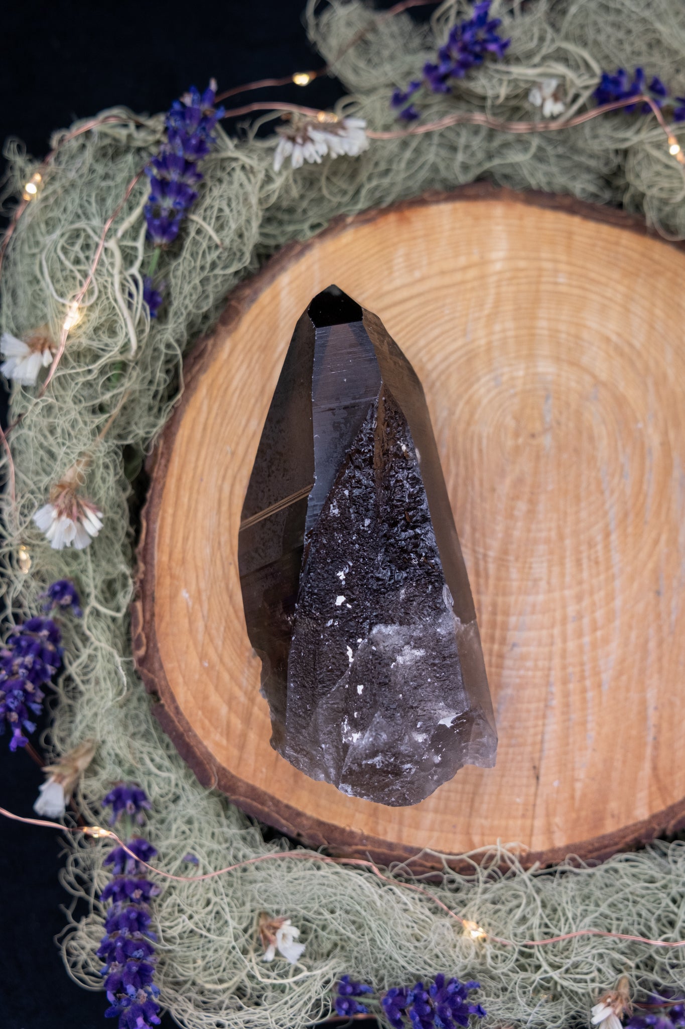 Smokey Lemurian Quartz Point with Ridge on Stand