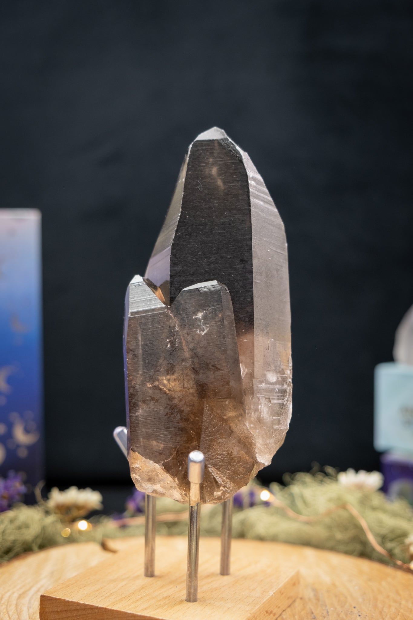 Smokey Lemurian Quartz Family Cluster on Stand