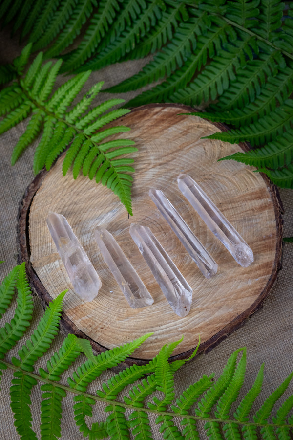 Golden Lemurian Raw Points, Crystal to raise consciousness, spiritual connection, healing, Master crystal