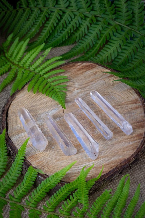 Golden Lemurian Raw Points, Crystal to raise consciousness, spiritual connection, healing, Master crystal