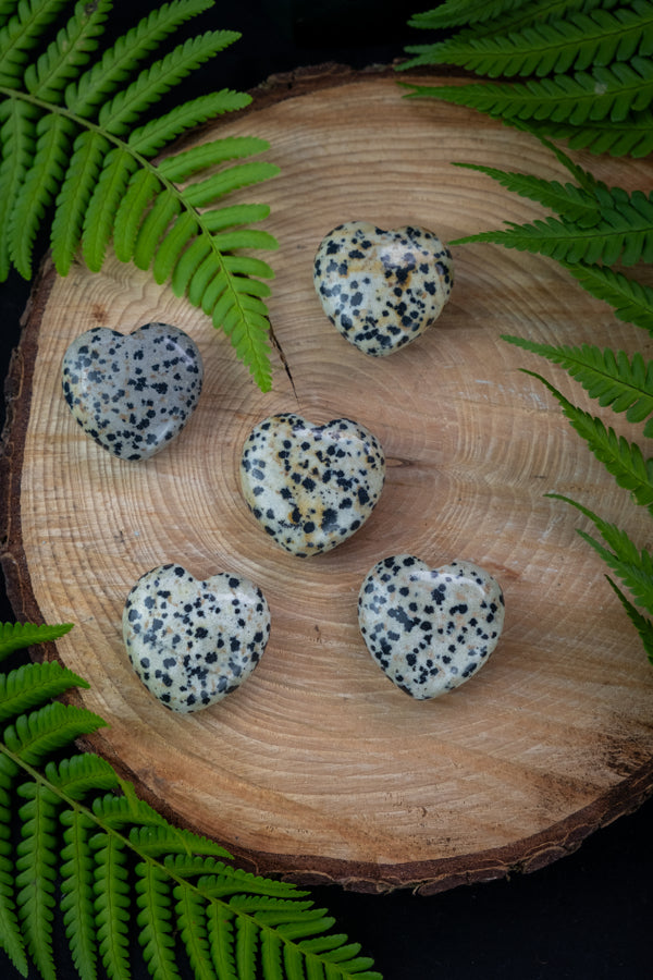 Dalmatian Jasper Crystal Hearts