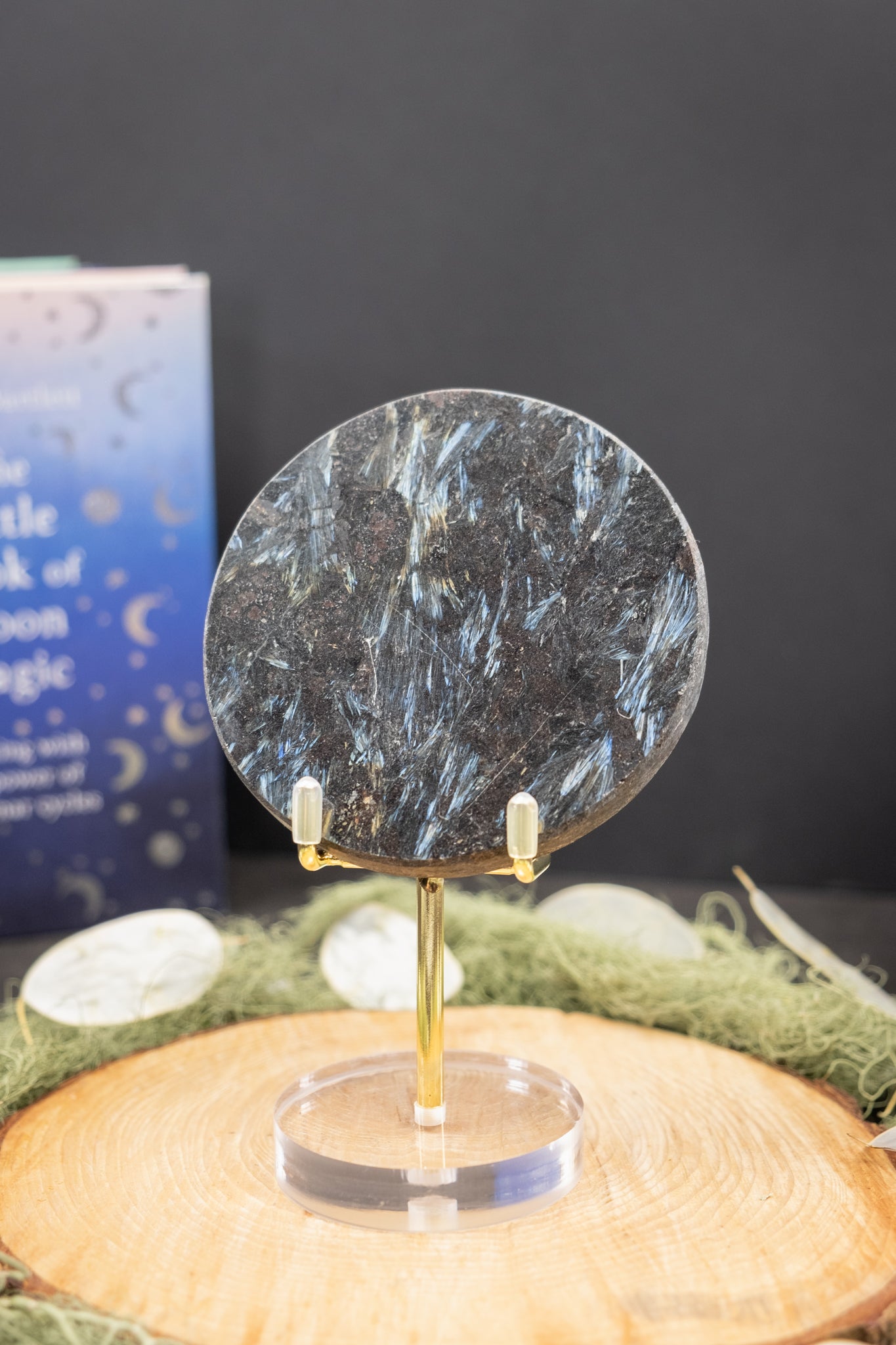 Astrophyllite Disc