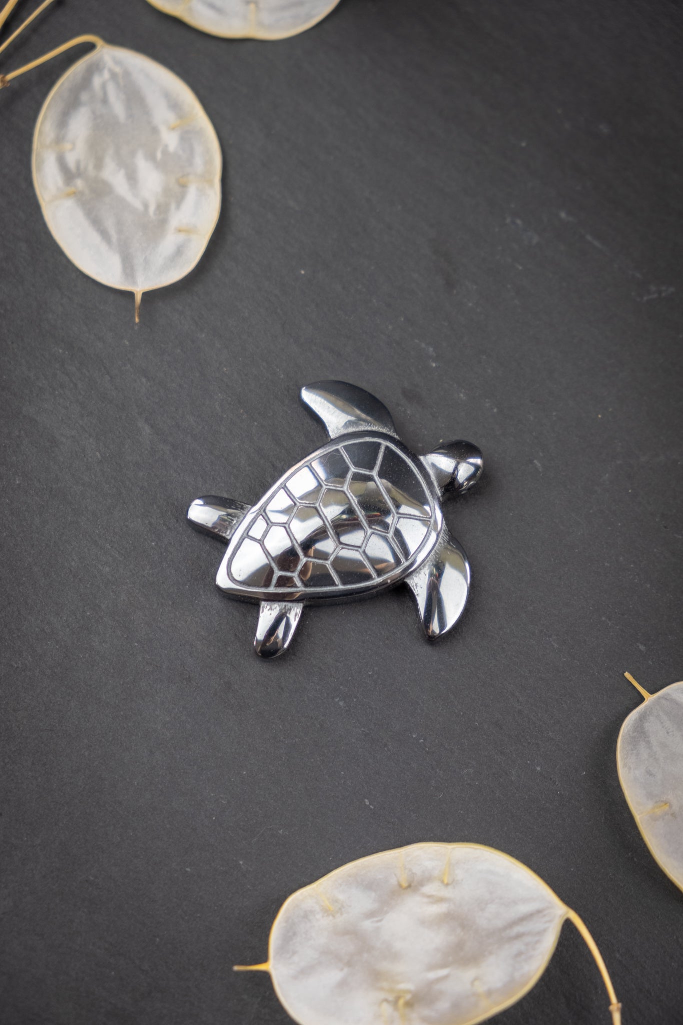 Hematite Turtle