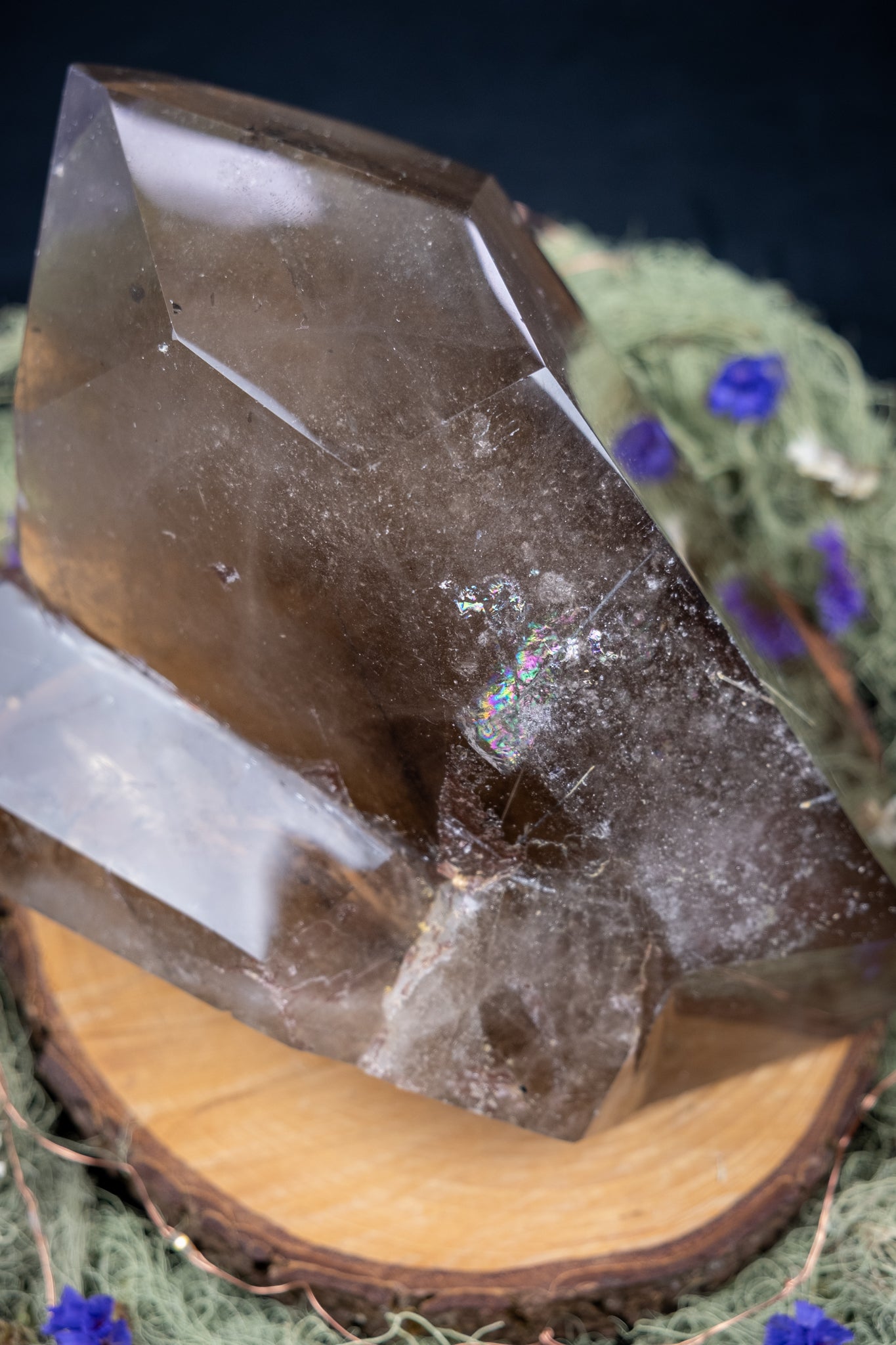 Smokey Quartz Cluster Formation with Tourmaline Inclusions