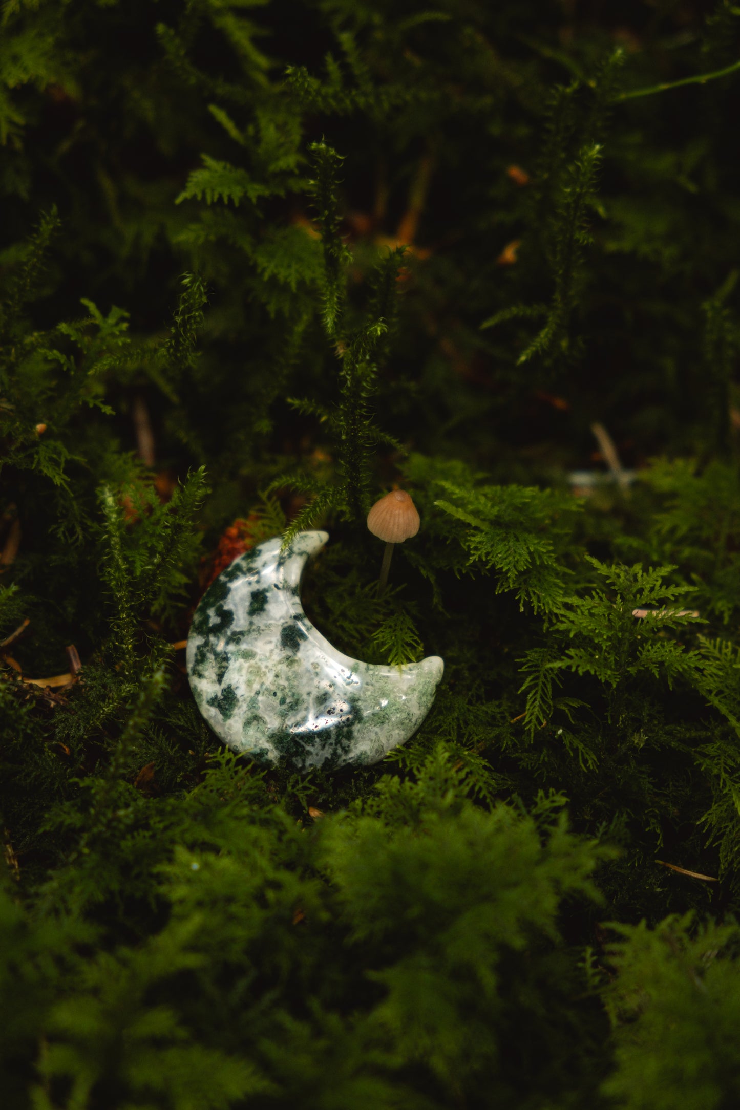 Moss Agate crystal Moons, Crystal for grounding and calm, Gaia Energy.