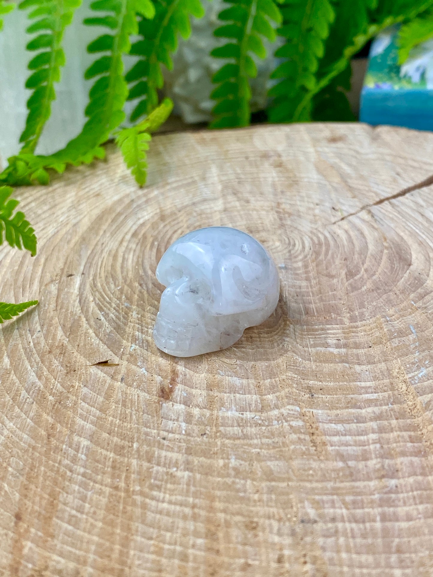 Crystal Skulls, Goddess Quartz and Amazonite, Healing gemstone, Samhain and Halloween crystal, Carved Crystal
