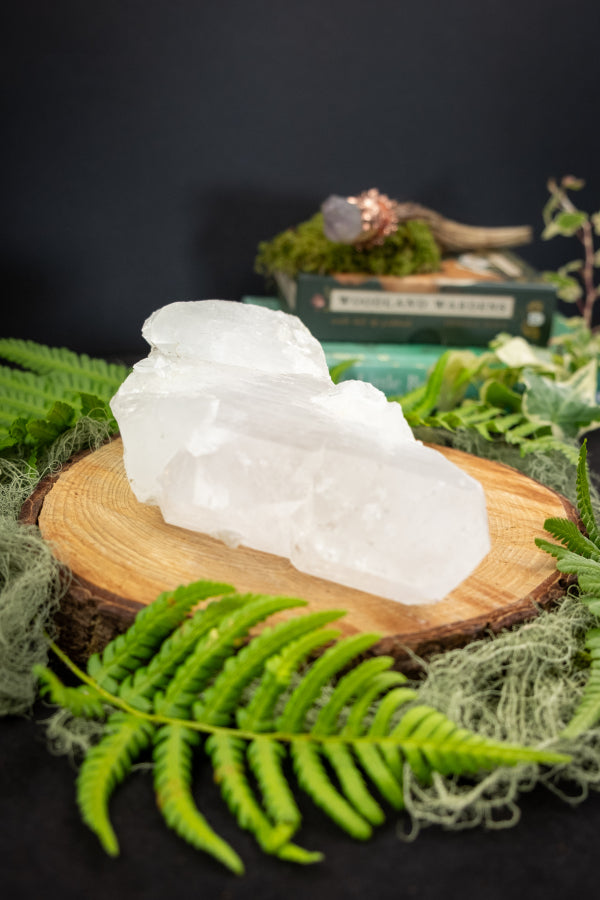 Michelle - Private Order - 1.7.2 5