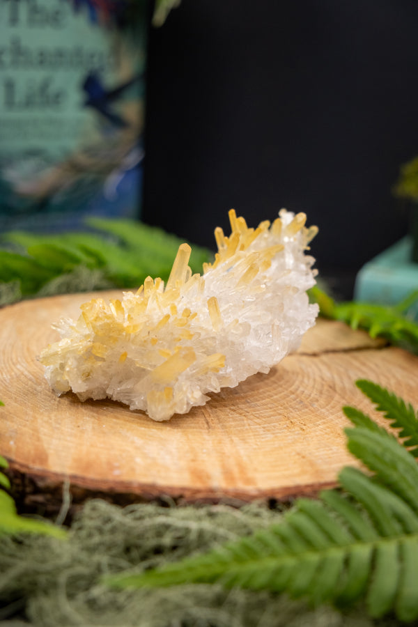Lemurian Golden Healer Needle Quartz, Colombian Needle Quartz