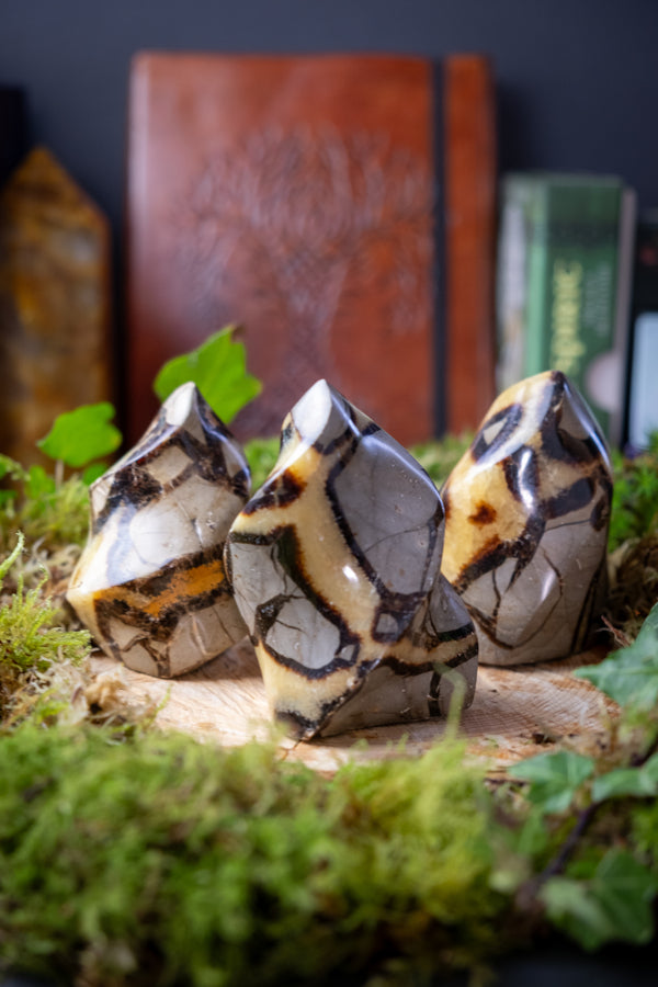 Golden Septaria Crystal Flames, Natural Dragon Stone, Septarian, Nurturing crystal, Grounding gemstone, Crystal for strength