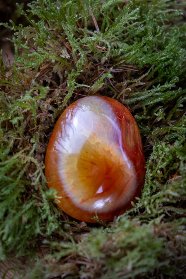 Carnelian Crystal Palm Stone