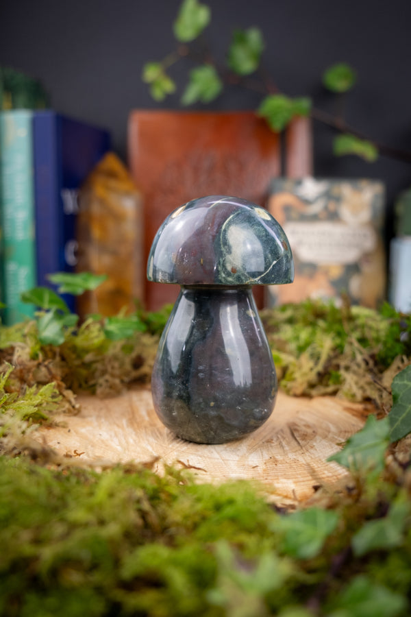 Ocean Jasper crystal Toadstool, Go with the flow, Gemstone for joy and happiness, Emotional stability, Ocean crystal, A grade.